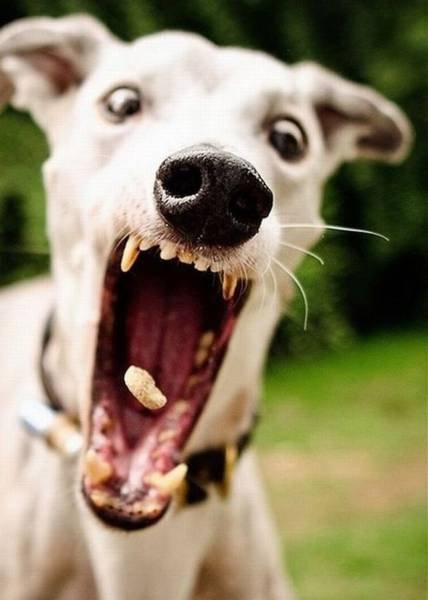 Bildschirmarbeiter - Picdump 24.06.2016