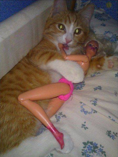 Bildschirmarbeiter - Picdump 24.06.2016