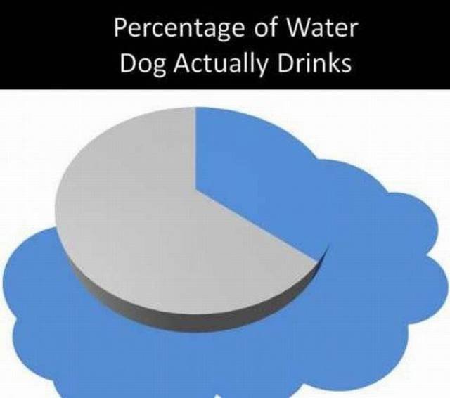 Bildschirmarbeiter - Picdump 24.06.2016