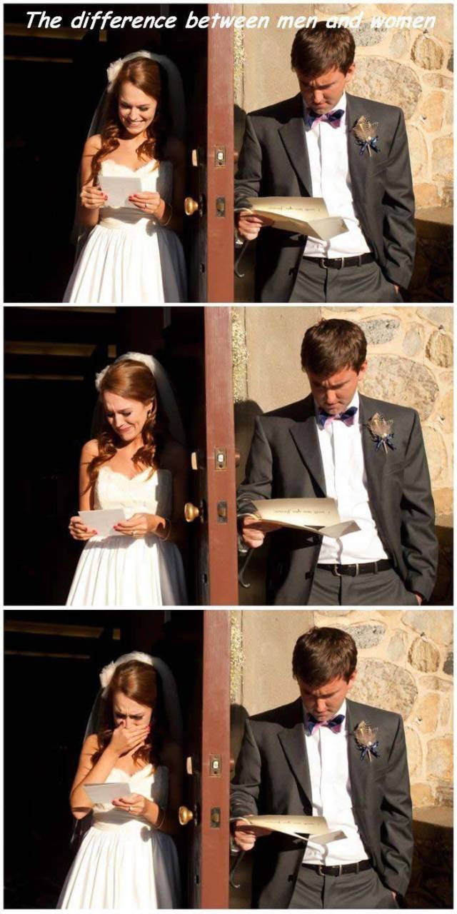 Bildschirmarbeiter - Picdump 24.06.2016