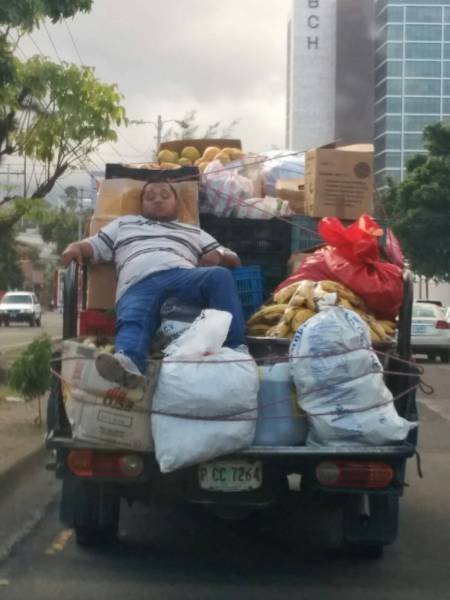 Bildschirmarbeiter - Picdump 24.06.2016