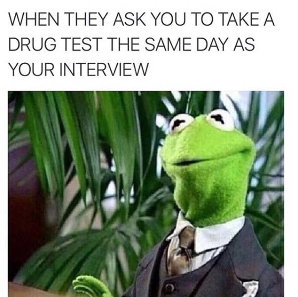 Bildschirmarbeiter - Picdump 24.06.2016