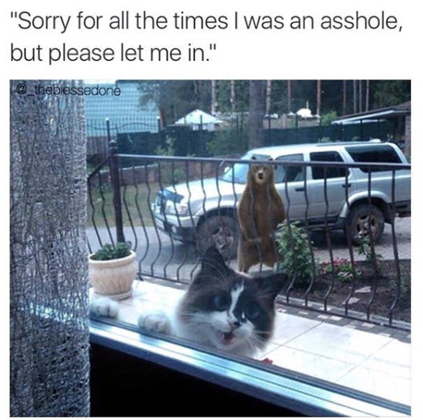 Bildschirmarbeiter - Picdump 24.06.2016