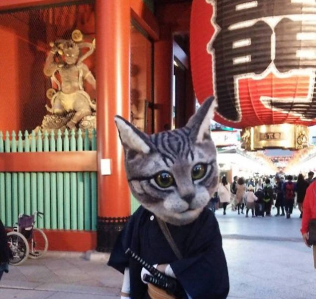 Bildschirmarbeiter - Picdump 24.06.2016