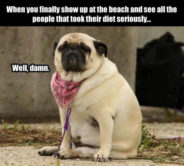 Bildschirmarbeiter - Picdump 24.06.2016