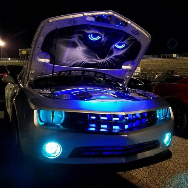 Bildschirmarbeiter - Picdump 24.06.2016