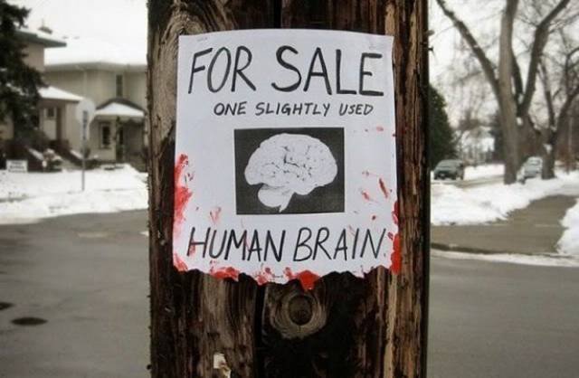 Bildschirmarbeiter - Picdump 24.06.2016