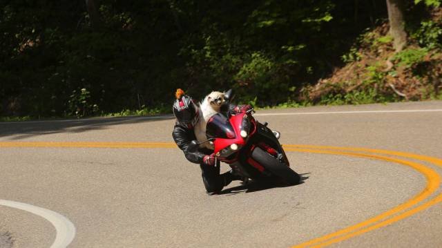 Bildschirmarbeiter - Picdump 01.07.2016