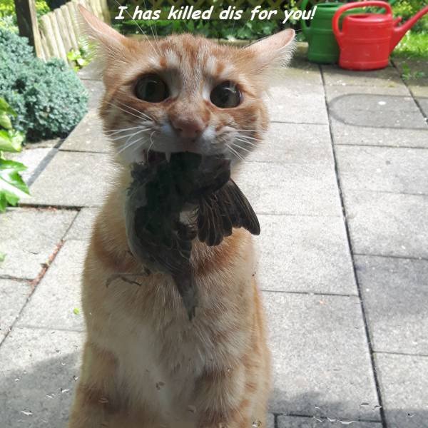 Bildschirmarbeiter - Picdump 01.07.2016