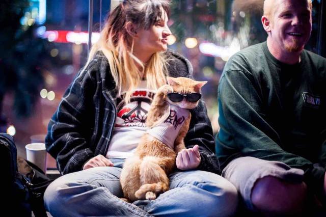 Bildschirmarbeiter - Picdump 01.07.2016