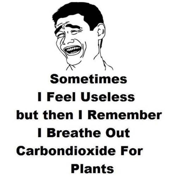 Bildschirmarbeiter - Picdump 01.07.2016