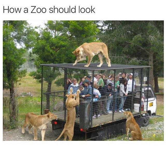 Bildschirmarbeiter - Picdump 01.07.2016