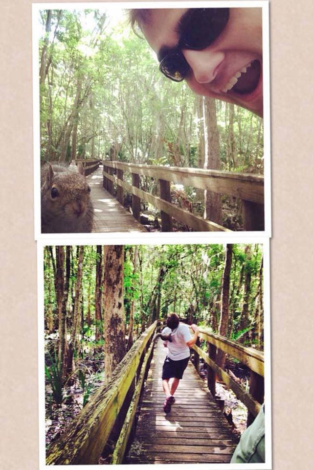 Bildschirmarbeiter - Picdump 01.07.2016