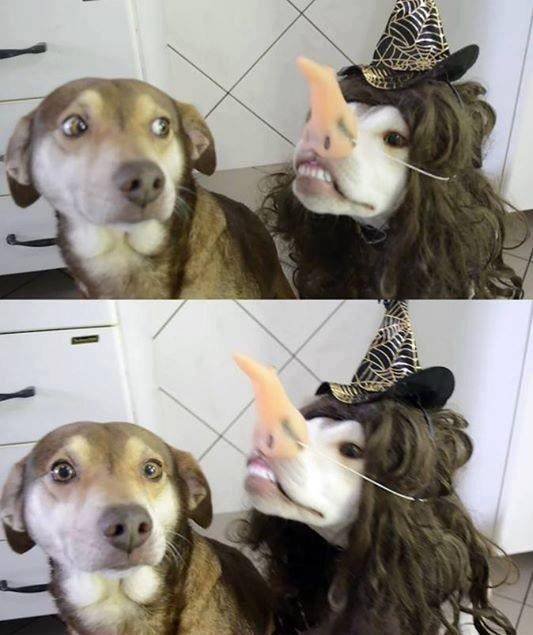 Bildschirmarbeiter - Picdump 01.07.2016