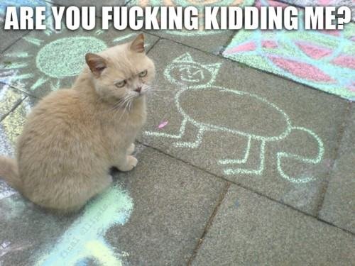 Bildschirmarbeiter - Picdump 01.07.2016