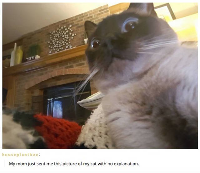 Bildschirmarbeiter - Picdump 01.07.2016