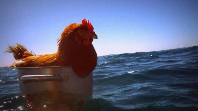 Bildschirmarbeiter - Picdump 08.07.2016