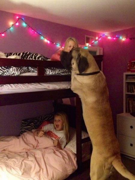 Bildschirmarbeiter - Picdump 08.07.2016