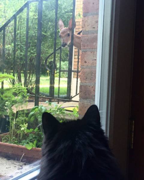 Bildschirmarbeiter - Picdump 08.07.2016