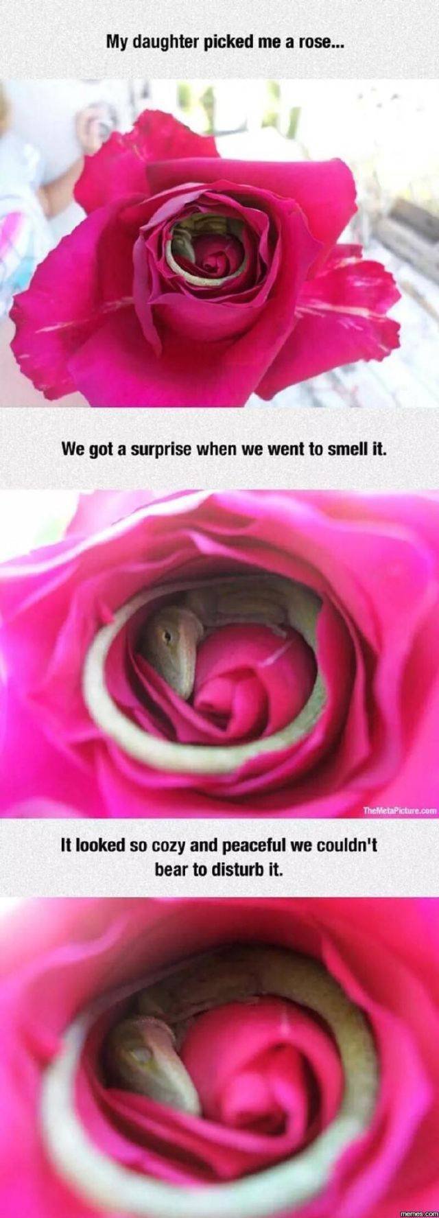 Bildschirmarbeiter - Picdump 08.07.2016