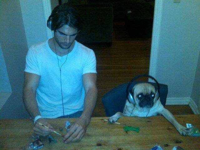 Bildschirmarbeiter - Picdump 08.07.2016