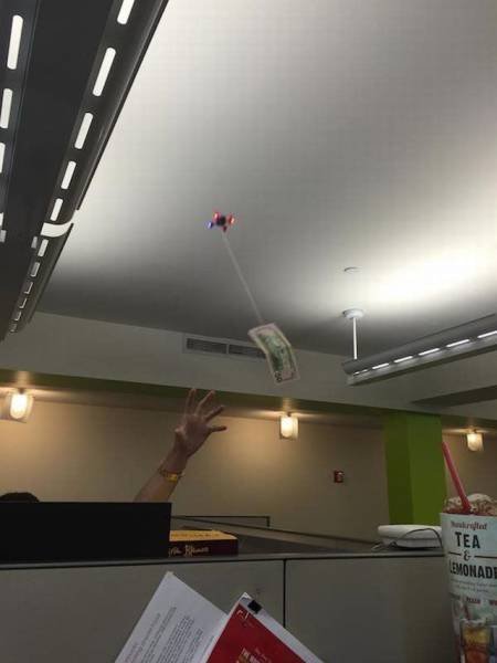 Bildschirmarbeiter - Picdump 08.07.2016