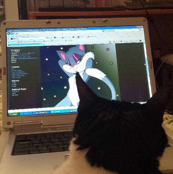 Bildschirmarbeiter - Picdump 08.07.2016