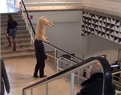 Bildschirmarbeiter - Picdump 08.07.2016