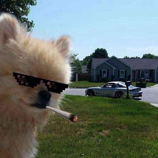 Bildschirmarbeiter - Picdump 08.07.2016