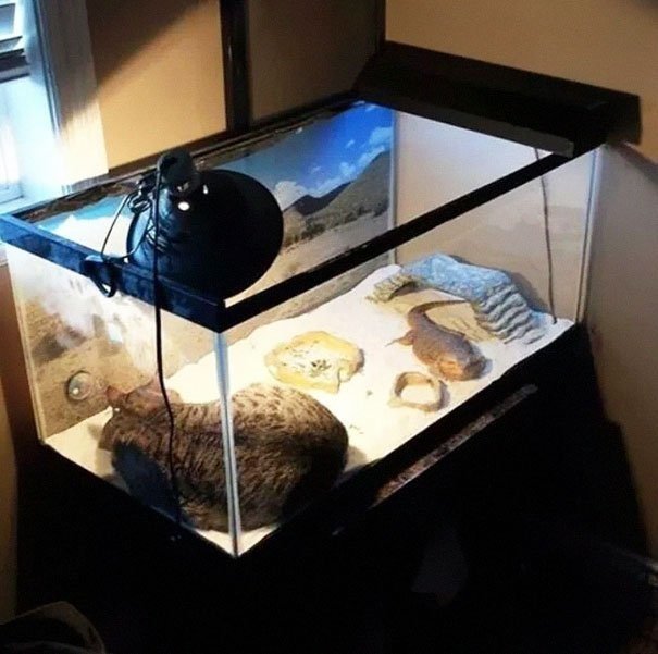 Bildschirmarbeiter - Picdump 15.07.2016