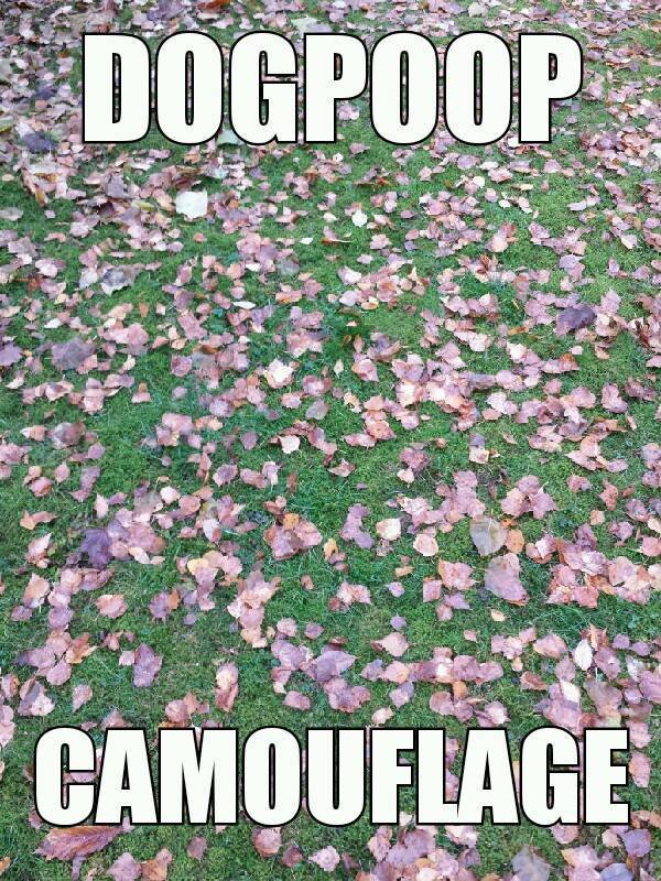 Bildschirmarbeiter - Picdump 15.07.2016