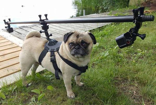 Bildschirmarbeiter - Picdump 15.07.2016