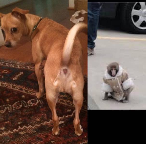 Bildschirmarbeiter - Picdump 15.07.2016