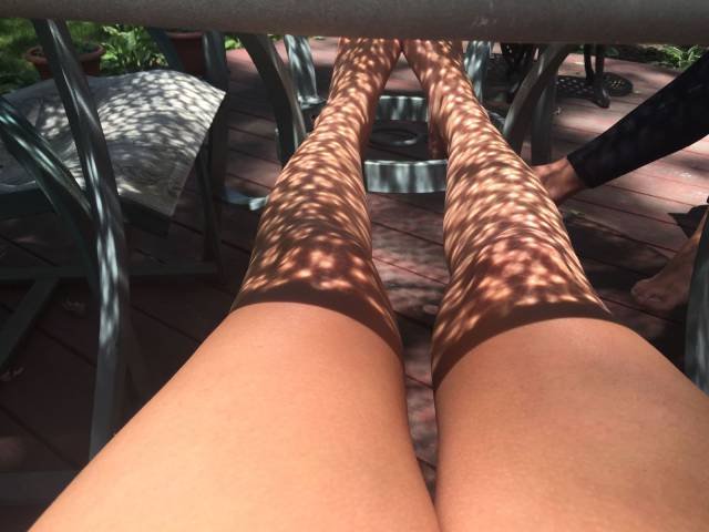 Bildschirmarbeiter - Picdump 15.07.2016