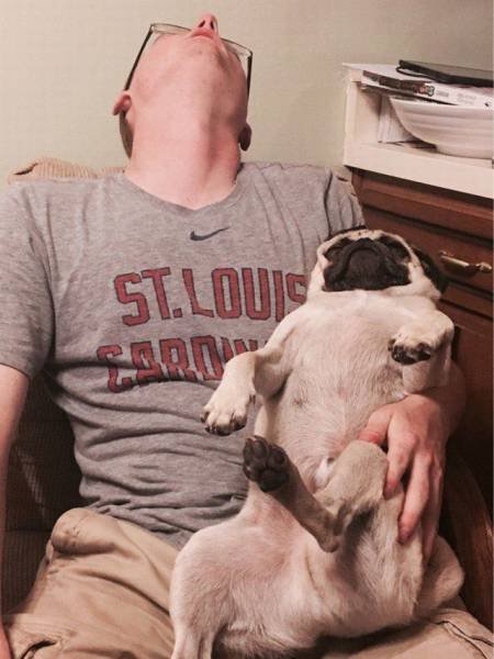 Bildschirmarbeiter - Picdump 15.07.2016