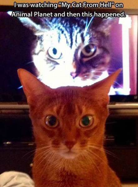 Bildschirmarbeiter - Picdump 15.07.2016