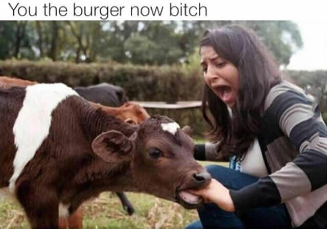 Bildschirmarbeiter - Picdump 15.07.2016