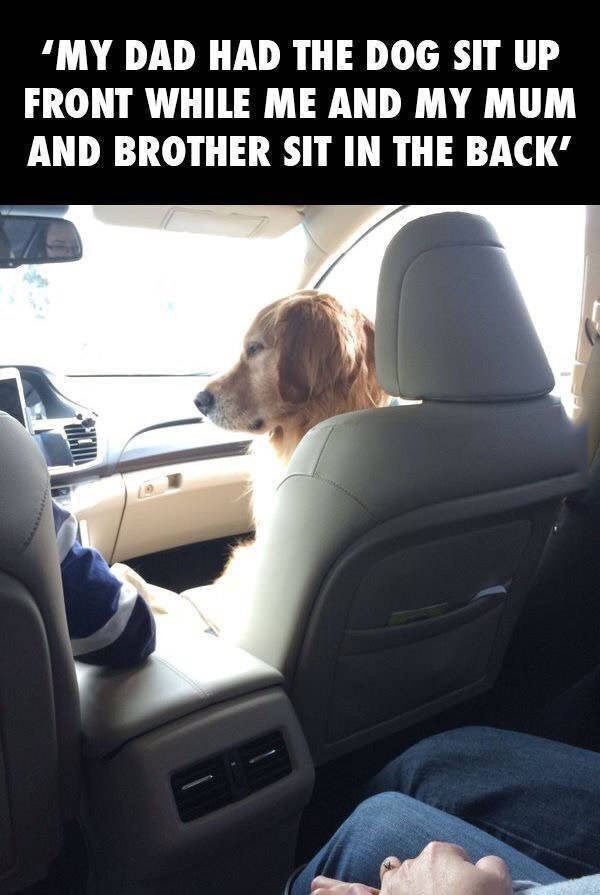 Bildschirmarbeiter - Picdump 15.07.2016