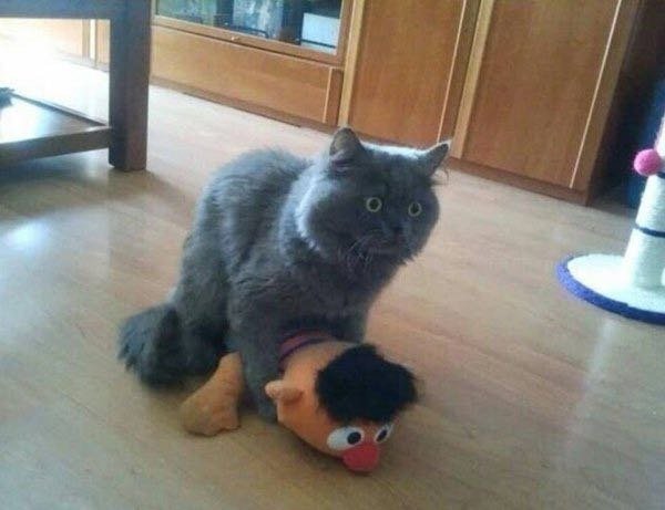 Bildschirmarbeiter - Picdump 15.07.2016