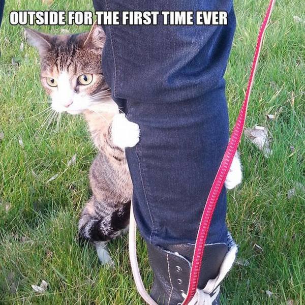 Bildschirmarbeiter - Picdump 29.07.2016