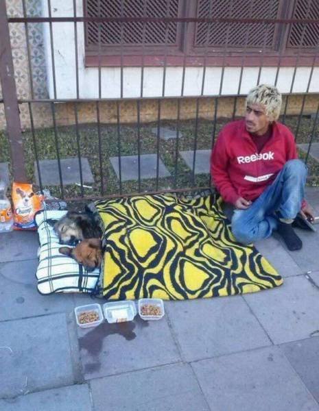 Bildschirmarbeiter - Picdump 29.07.2016