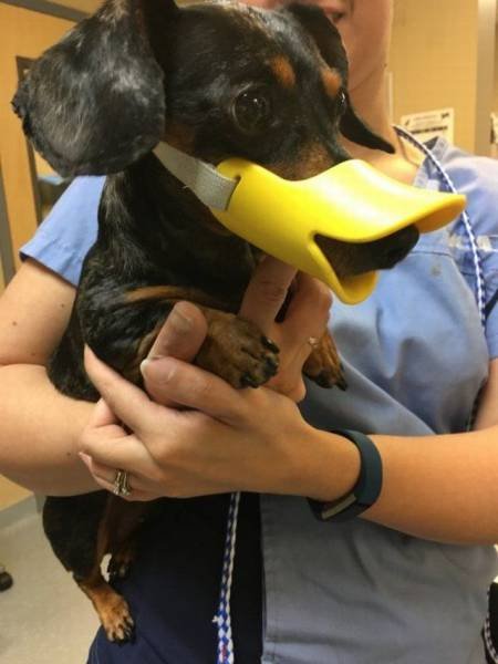 Bildschirmarbeiter - Picdump 29.07.2016