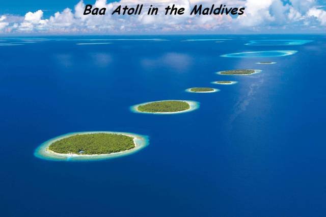 Bildschirmarbeiter - Picdump 29.07.2016