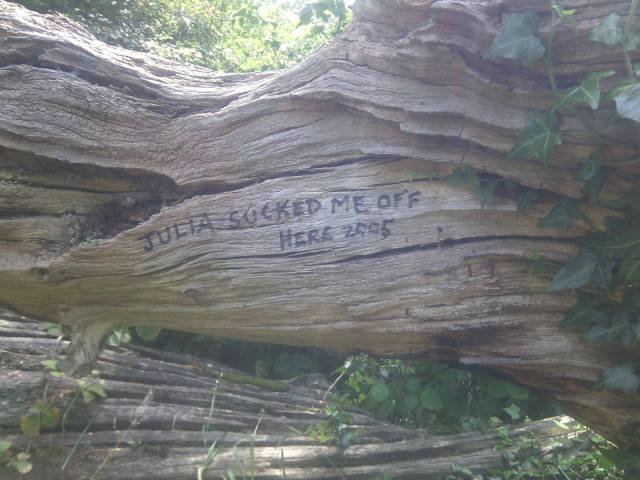 Bildschirmarbeiter - Picdump 29.07.2016