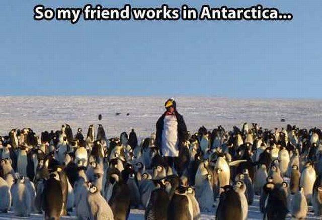 Bildschirmarbeiter - Picdump 29.07.2016