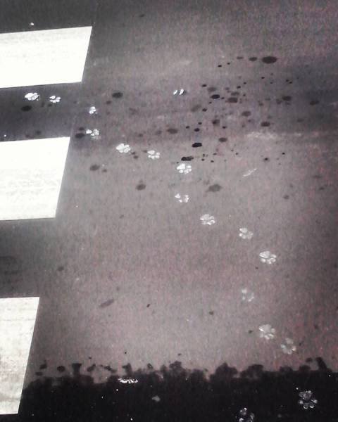 Bildschirmarbeiter - Picdump 29.07.2016