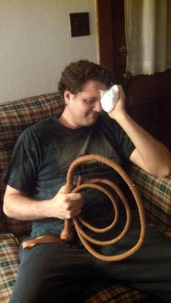 Bildschirmarbeiter - Picdump 29.07.2016