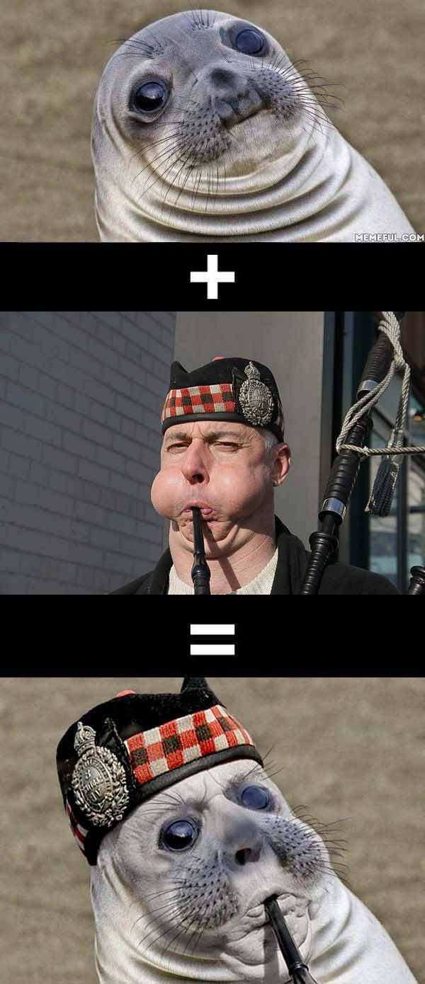 Bildschirmarbeiter - Picdump 29.07.2016