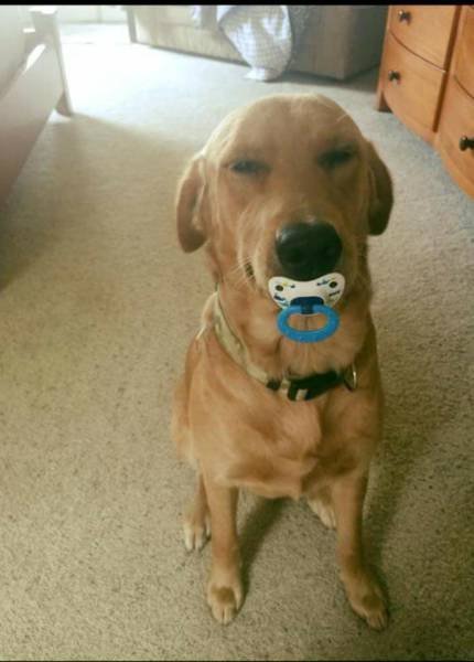 Bildschirmarbeiter - Picdump 29.07.2016