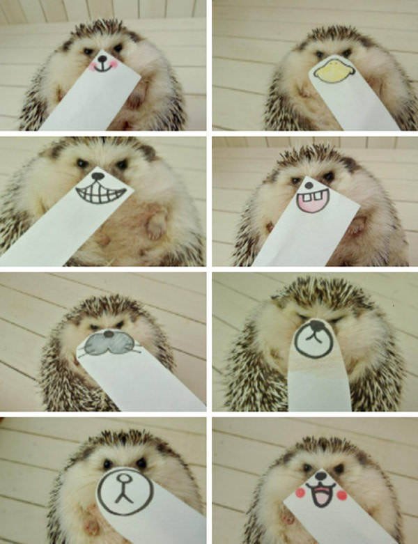 Bildschirmarbeiter - Picdump 29.07.2016